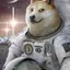 Moon Doge