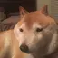 SHIBER