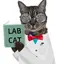 LABCAT