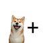 DOG+