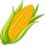 CORN