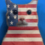 AMERICAT