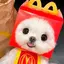 McDog