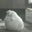 chonk