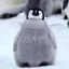 Pengu