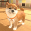 NINTENDOG