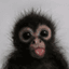 APE