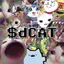 dCAT