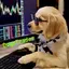 DogeTrader