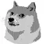 DOGE1995