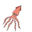 Squid