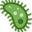 Virus