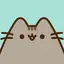 Pusheen