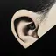 EAR