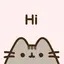 Pusheen