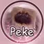 Peke