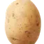 Potato