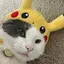 Pikacat