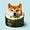 DOGEGIMBAP