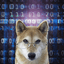 hackDOG