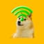 wifidoge