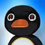 NOOT