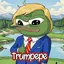 TRUMPEPE