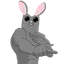 VVABBIT