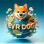 EVRDOG