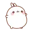 molang