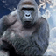 HARAMBE