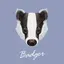 Badger