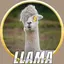 LLAMA