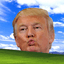 TRUMPXP