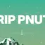 RIP PNUT