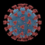 virus