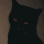 DARKCAT