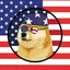 USDOGE