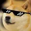 MLG Doge