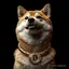 BTCDOGE