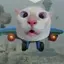 Meow737