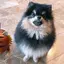 Yeontan