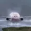 CAT747