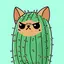 catus