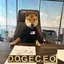 DOGE.CEO