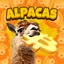 ALPACAS