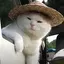 HATCAT