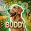 BUDDY