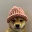 dogwifhat