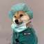 DOGTOR